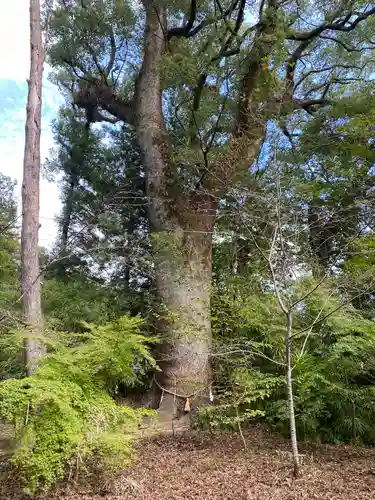 土佐神社(高知県)