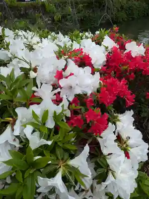 三嶋大社(静岡県)