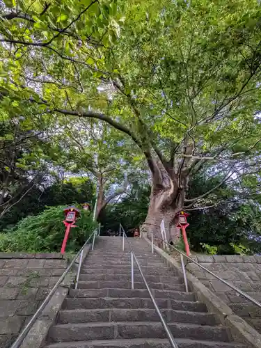 常陸第三宮　吉田神社(茨城県)