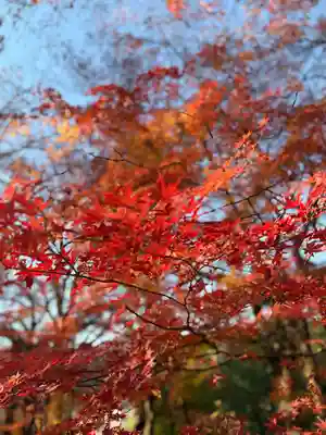 武田神社(山梨県)