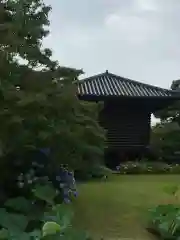 東寺（教王護国寺）の建物その他