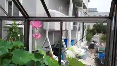 極楽山　浄土寺(北海道)