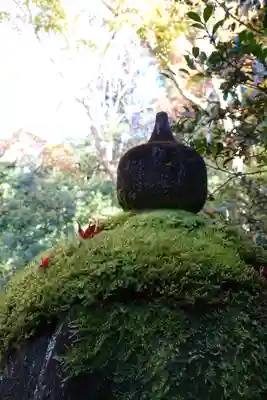 光明寺瑠璃光院のその他建物