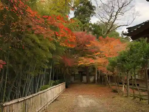 國泰寺の景色