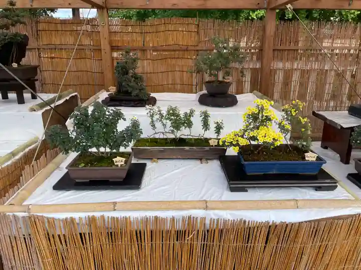 本願寺(西本願寺)(京都府)