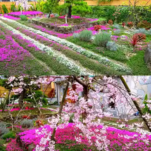 寿量山　速成寺の自然