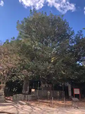 熊野速玉大社(和歌山県)