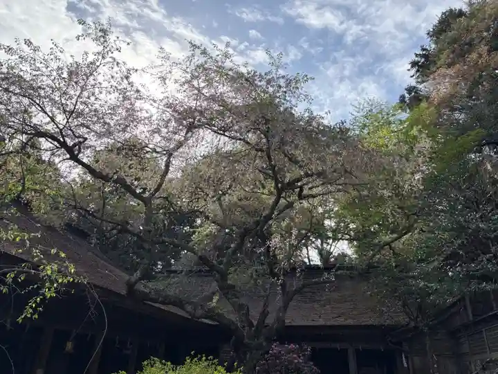 吉野水分神社(吉野町)(奈良県)