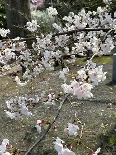 氣比神宮(福井県)