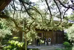 寿福寺の建物その他