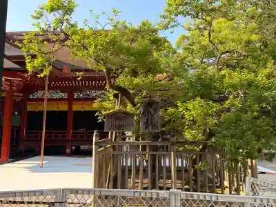 太宰府天満宮の{uncategorized: "未分類", other: "その他", undefined: "問題あり", building: "その他建物", grave: "お墓", sacred_gate: "鳥居", guardian: "狛犬", statue: "像", buddha: "仏像", history: "歴史", nature: "自然", garden: "庭園", animal: "動物", pagoda: "塔", temizu: "手水舎", mountain_gate: "山門・神門", sanctuary: "本殿・本堂", subordinate: "末社・摂社", art: "芸術", scenery: "景色", jizo: "地蔵", ema: "絵馬", goshuin: "御朱印", omikuji: "おみくじ", items: "授与品その他", amulet: "お守り", goshuincho: "御朱印帳", eats: "食事", festival: "お祭り", votive_dance: "神楽", shichigosan: "七五三参", wedding: "結婚式", experience: "体験その他", initially: "初詣", around: "周辺", anti_infection: "感染症対策"}