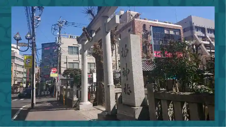 柏神社(千葉県)