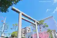 桜神宮(東京都)