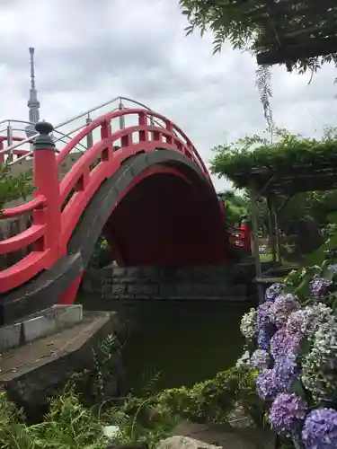 亀戸天神社の庭園