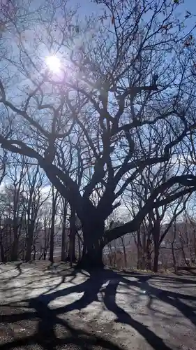 相馬神社(北海道)