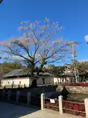 四天王寺の建物その他