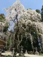 那須神社(栃木県)