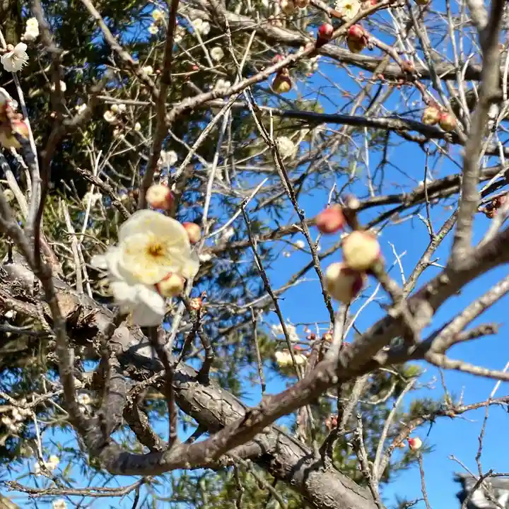 布施弁天 東海寺(千葉県)