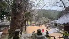 九頭神社(奈良県)