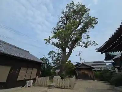 尾崎八幡神社(兵庫県)
