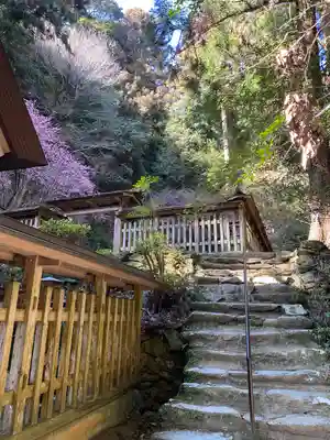 伊野天照皇大神宮のその他建物