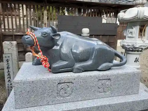 今宮天満宮神社の狛犬