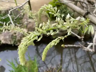 歌泉堂（春日大社神苑萬葉植物園内鎮座）(奈良県)