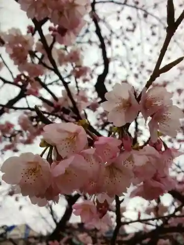 靖國神社(東京都)