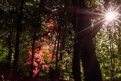 八大神社(京都府)