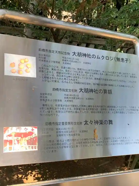 大胡神社(群馬県)