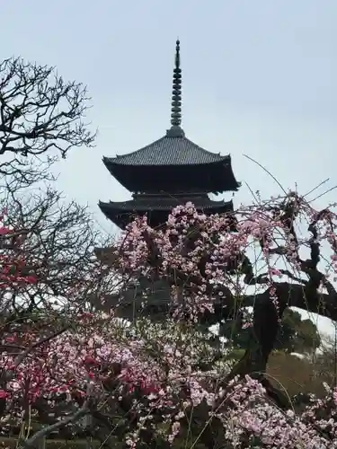 東寺（教王護国寺）の塔