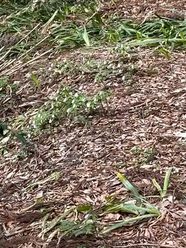 国上寺(新潟県)