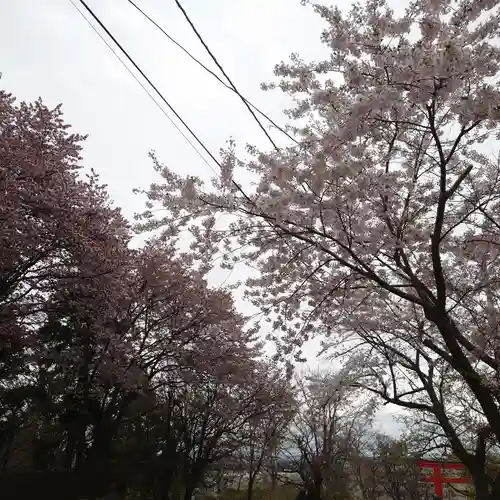 虻田神社の自然