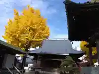 長慶寺(福井県)