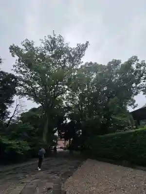 武蔵野八幡宮(東京都)