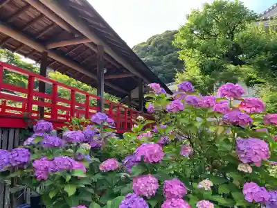 本土寺(千葉県)