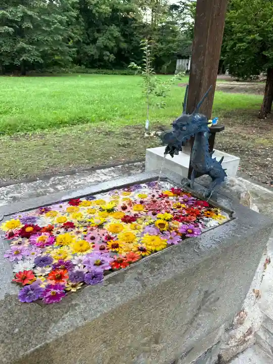 鹿追神社の手水舎
