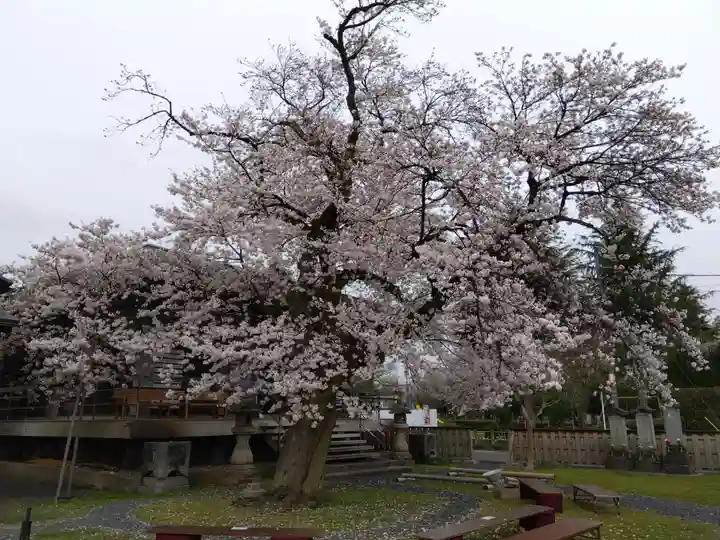 妙経寺(福井県)