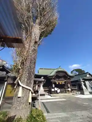 菊田神社(千葉県)
