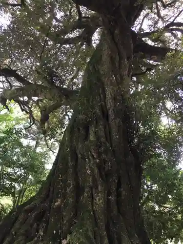 若狭神宮寺の自然