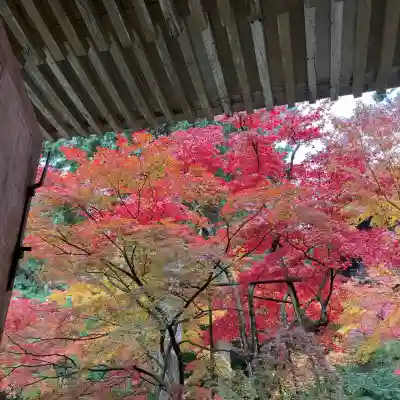 金剛輪寺(滋賀県)