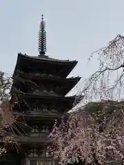 醍醐寺の塔