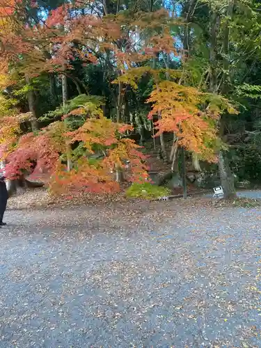 富貴寺(大分県)