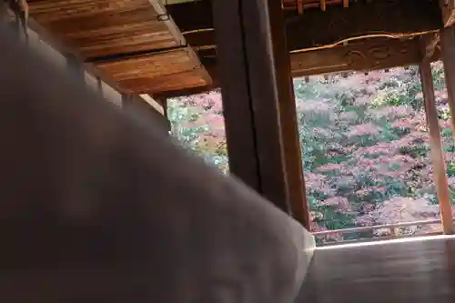 隨心院（随心院）のその他建物