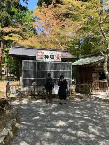 日吉大社(滋賀県)