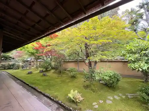 興臨院の{uncategorized: "未分類", other: "その他", undefined: "問題あり", building: "その他建物", grave: "お墓", sacred_gate: "鳥居", guardian: "狛犬", statue: "像", buddha: "仏像", history: "歴史", nature: "自然", garden: "庭園", animal: "動物", pagoda: "塔", temizu: "手水舎", mountain_gate: "山門・神門", sanctuary: "本殿・本堂", subordinate: "末社・摂社", art: "芸術", scenery: "景色", jizo: "地蔵", ema: "絵馬", goshuin: "御朱印", omikuji: "おみくじ", items: "授与品その他", amulet: "お守り", goshuincho: "御朱印帳", eats: "食事", festival: "お祭り", votive_dance: "神楽", shichigosan: "七五三参", wedding: "結婚式", experience: "体験その他", initially: "初詣", around: "周辺", anti_infection: "感染症対策"}
