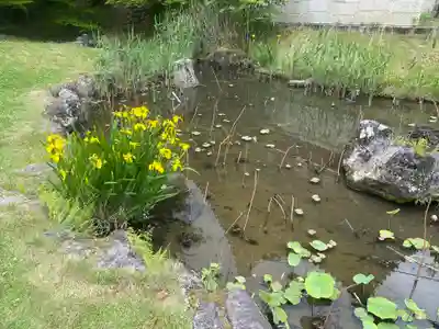  智積院(京都府)