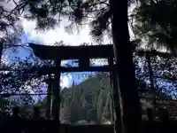 龍頭神社(埼玉県)