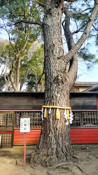 前原御嶽神社(千葉県)