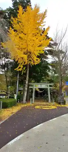 岳温泉神社 の{uncategorized: "未分類", other: "その他", undefined: "問題あり", building: "その他建物", grave: "お墓", sacred_gate: "鳥居", guardian: "狛犬", statue: "像", buddha: "仏像", history: "歴史", nature: "自然", garden: "庭園", animal: "動物", pagoda: "塔", temizu: "手水舎", mountain_gate: "山門・神門", sanctuary: "本殿・本堂", subordinate: "末社・摂社", art: "芸術", scenery: "景色", jizo: "地蔵", ema: "絵馬", goshuin: "御朱印", omikuji: "おみくじ", items: "授与品その他", amulet: "お守り", goshuincho: "御朱印帳", eats: "食事", festival: "お祭り", votive_dance: "神楽", shichigosan: "七五三参", wedding: "結婚式", experience: "体験その他", initially: "初詣", around: "周辺", anti_infection: "感染症対策"}